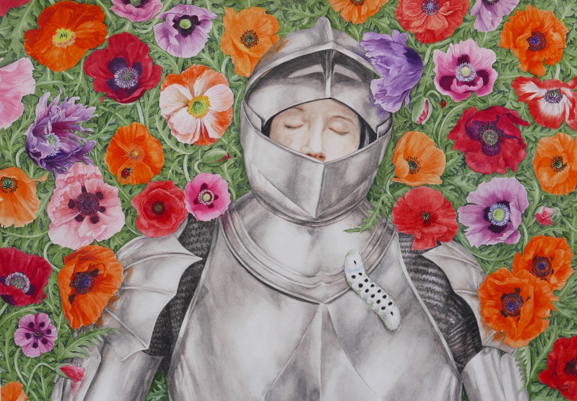 melissa chen art watercolour painting knight sleeping among poppies