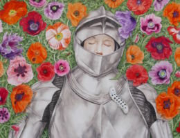 melissa chen art watercolour painting knight sleeping among poppies